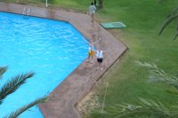 Zippy & Bungle taking a dip